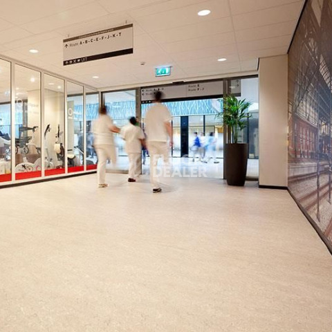 Forbo Marmoleum Decibel on Order 312035 rosato фото 3 | FLOORDEALER